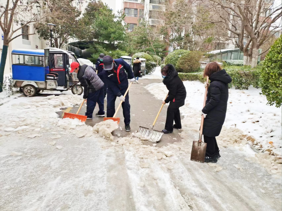 以雪爲令，挺膺擔當｜魯商服務黨員突擊隊在行動